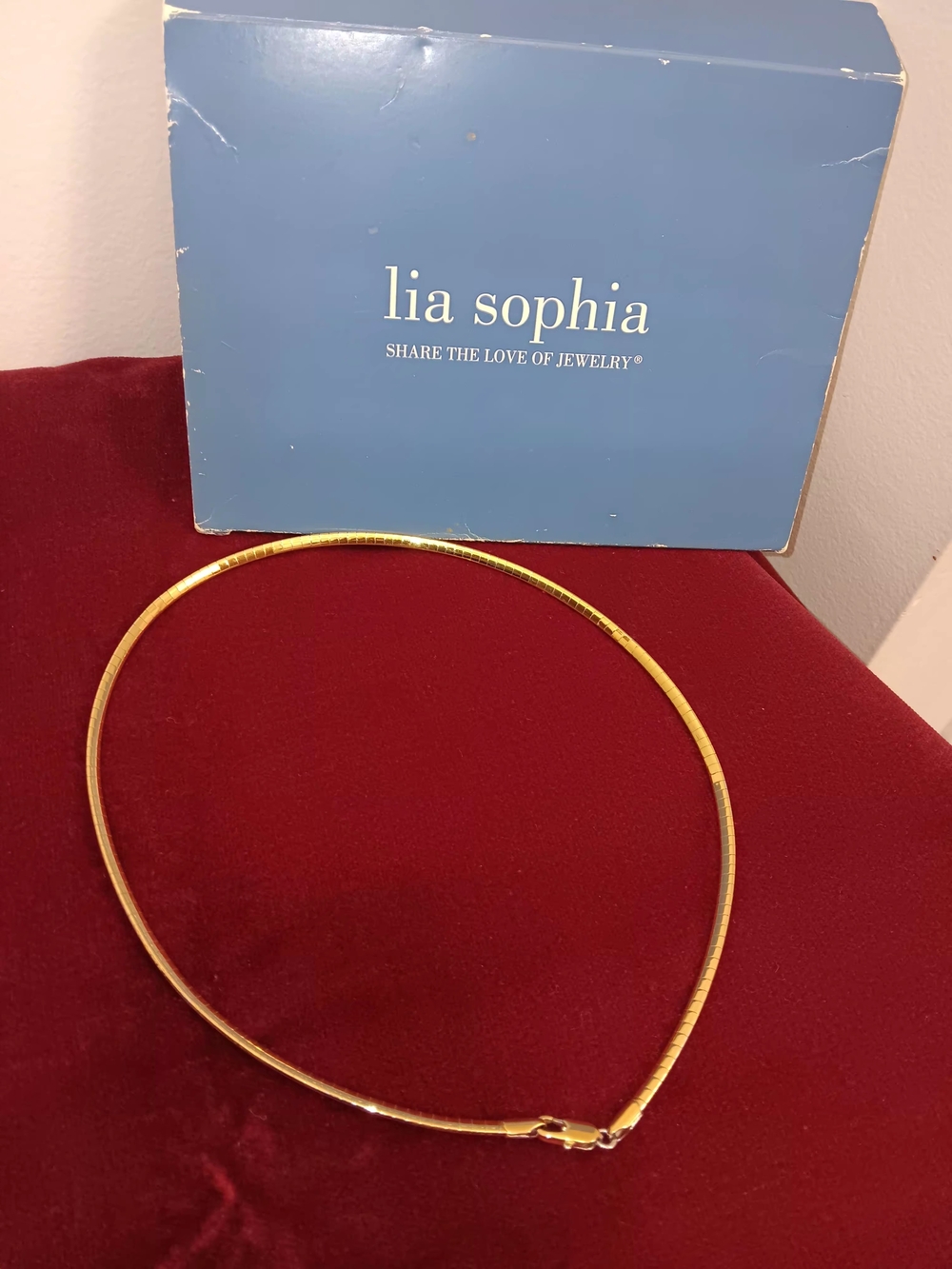 Lia Sophia Double Sided  Collar Necklace